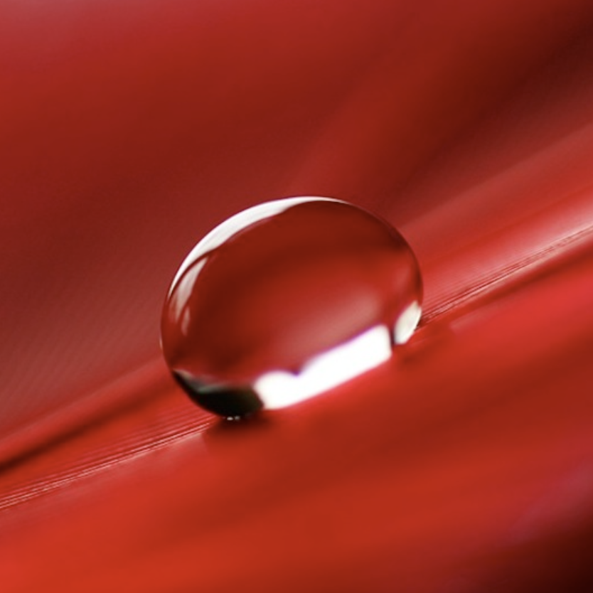 Screenshot 2026 04 03 at 3.54.37 PM